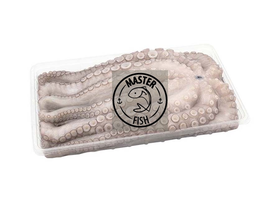 Chobotnice Premium tác 1000/2000 Maroko